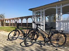 IMG_7110