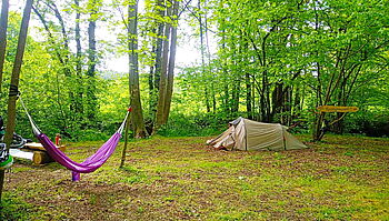Campen_-_Waldcampen_mit_Bachgemurmel