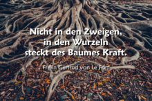 Spruch: "Nicht in den Zweigen, in den Wurzeln steckt des Baumes Kraft" von Freiin Gertrud von Le Fort; dazu im Hintergrund Baumwurzeln